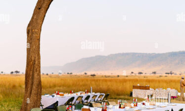 7-Day Luxury Honeymoon Safari & Beach