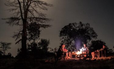 Starlight Explorer: An Authentic Nocturnal Adventure