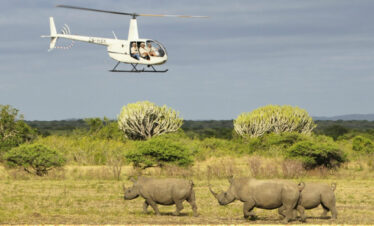 amboseli wildlife safari