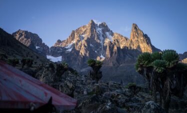 Wilderness Synergy: Team-Building Safari