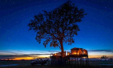 Lunar Wild: The Ultimate Nocturnal Expedition