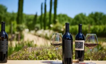 Harvest & Hearth: The Sustainable Food Trail